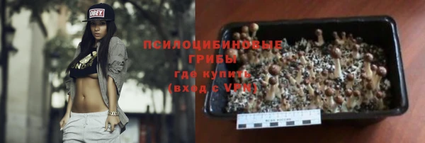 круглые Алзамай
