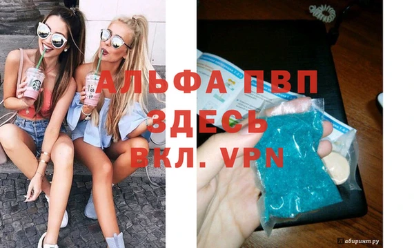 сатива Армянск