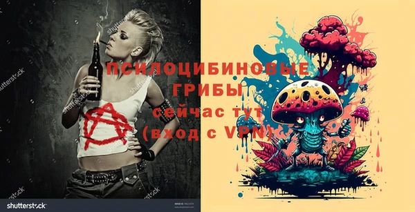 круглые Алзамай