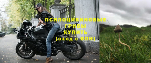 тгк Арсеньев