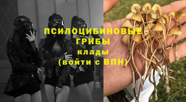сатива Армянск