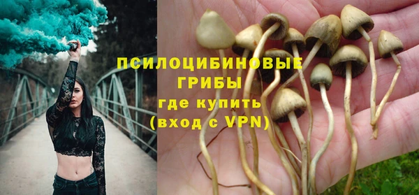 тгк Арсеньев