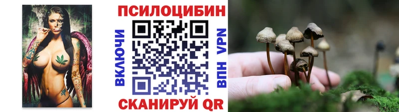 Купить где  Северо-Курильск  Галлюциногенные грибы Psilocybe 
